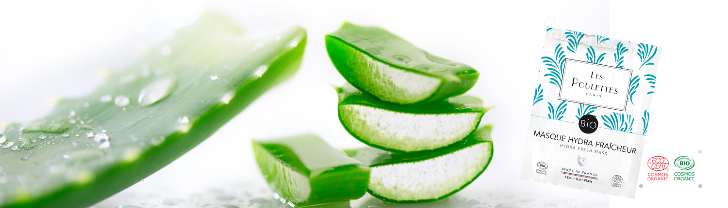 The benefits of aloe vera on the skin - Les Poulettes Paris
